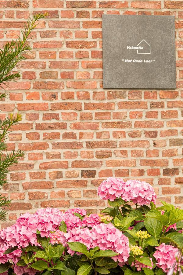 Vakantiewoning Het Oude Laer Bilzen Bagian luar foto